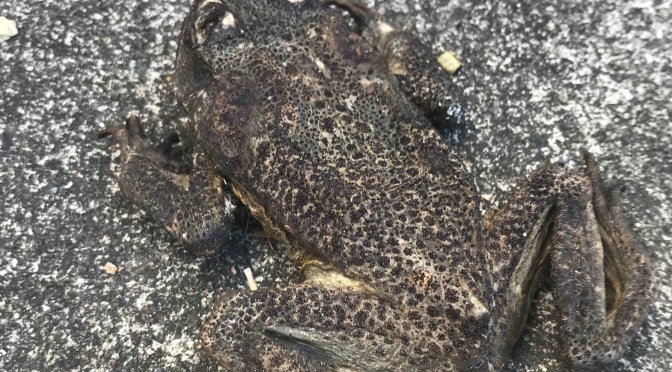 仕事、転職、生活をもう一度考え直すきっかけになる「働き方　完全無双」